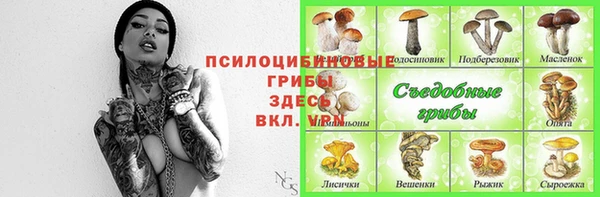 не бодяженный Алзамай