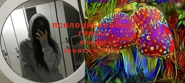 не бодяженный Алзамай