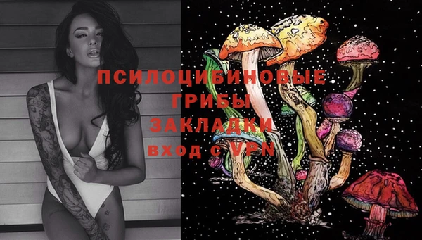 амф Алексеевка