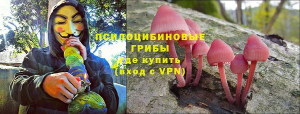 амф Алексеевка