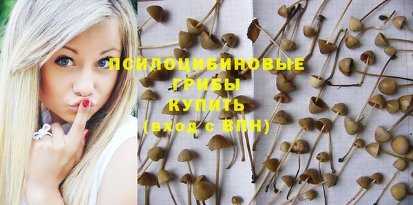 экстази Алексин